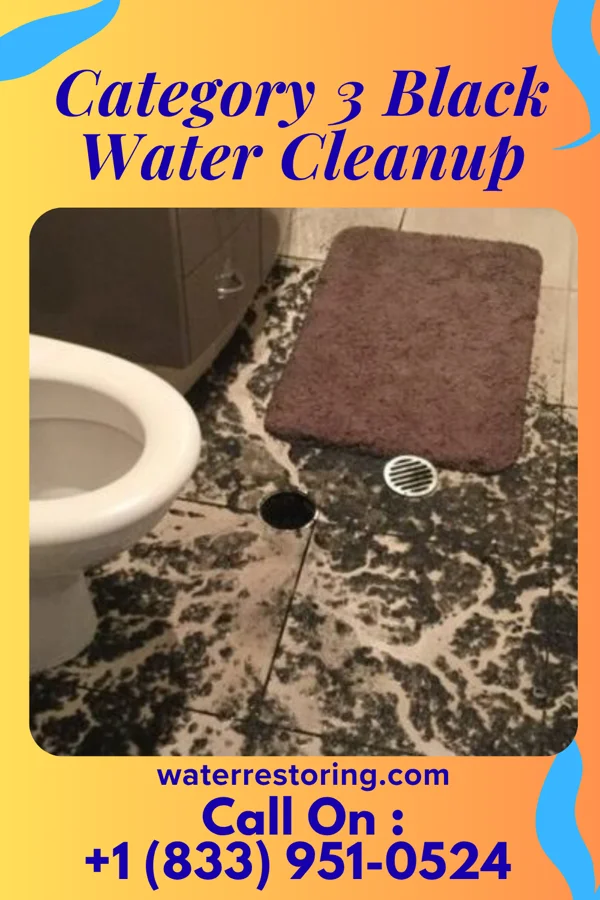 Category 3 Black Water Cleanup in Edgerton, WY