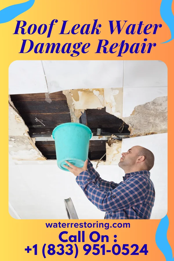Roof Leak Water Damage Repair in Edgerton, WY